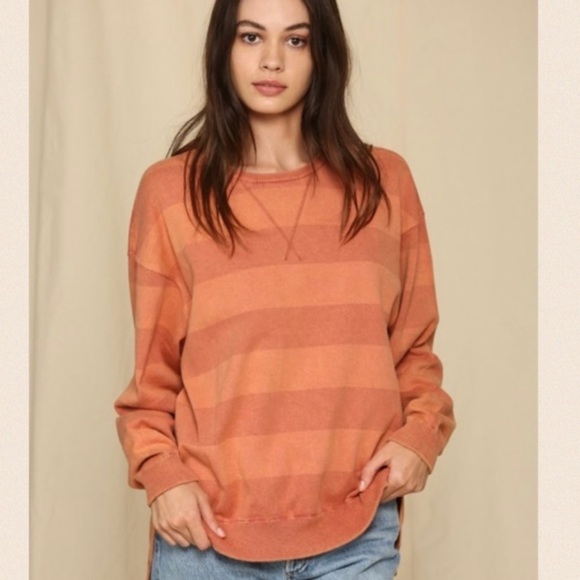 Brick LS V-Stitched Neck Striped Sweatshirt - Picture 1 of 9